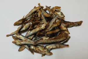 Petgadas