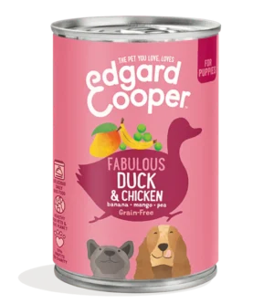Petgadas