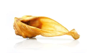 Petgadas