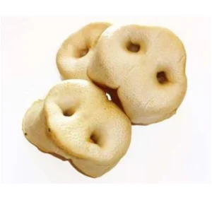 Petgadas