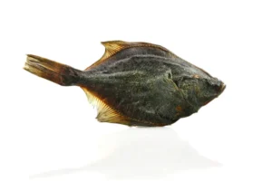 Petgadas