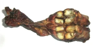 Petgadas