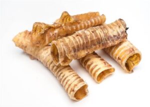 Petgadas