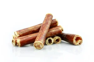 Petgadas