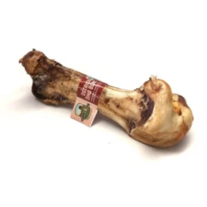 Petgadas