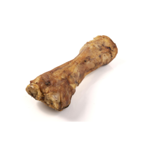 Petgadas