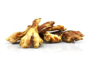 Petgadas
