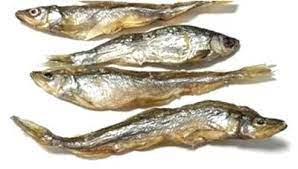 Petgadas