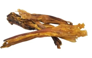 Petgadas